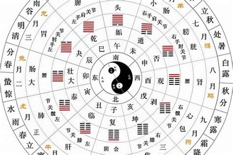 祤五行|洢字的五行是什么,洢的五行属性及吉利寓意